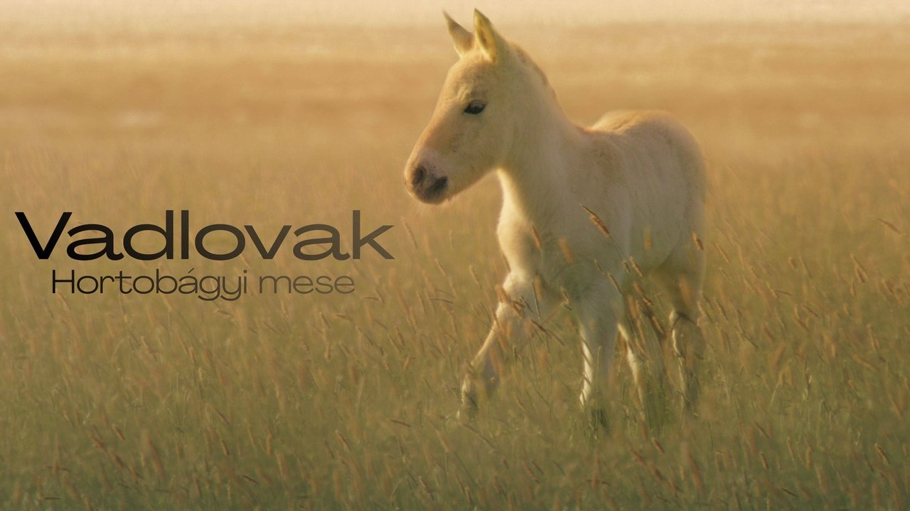title image
