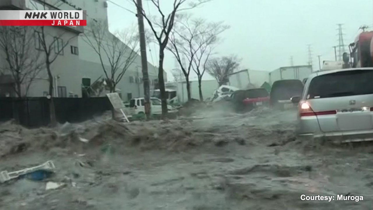 Tsunami Observation