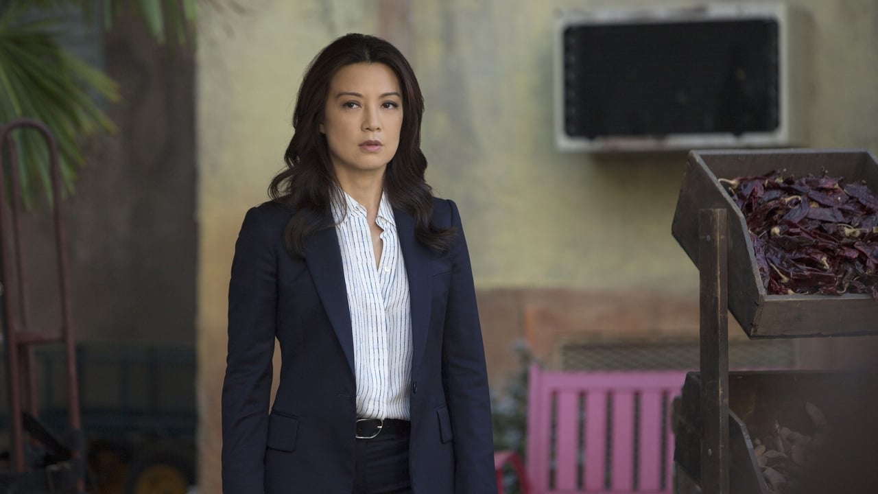 Marvel's Agents of S.H.I.E.L.D. - Season 2 Episode 17 : Melinda