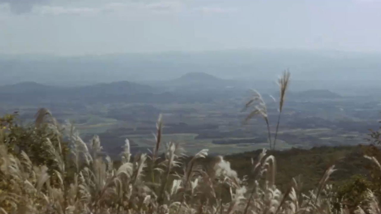 The Village backdrop