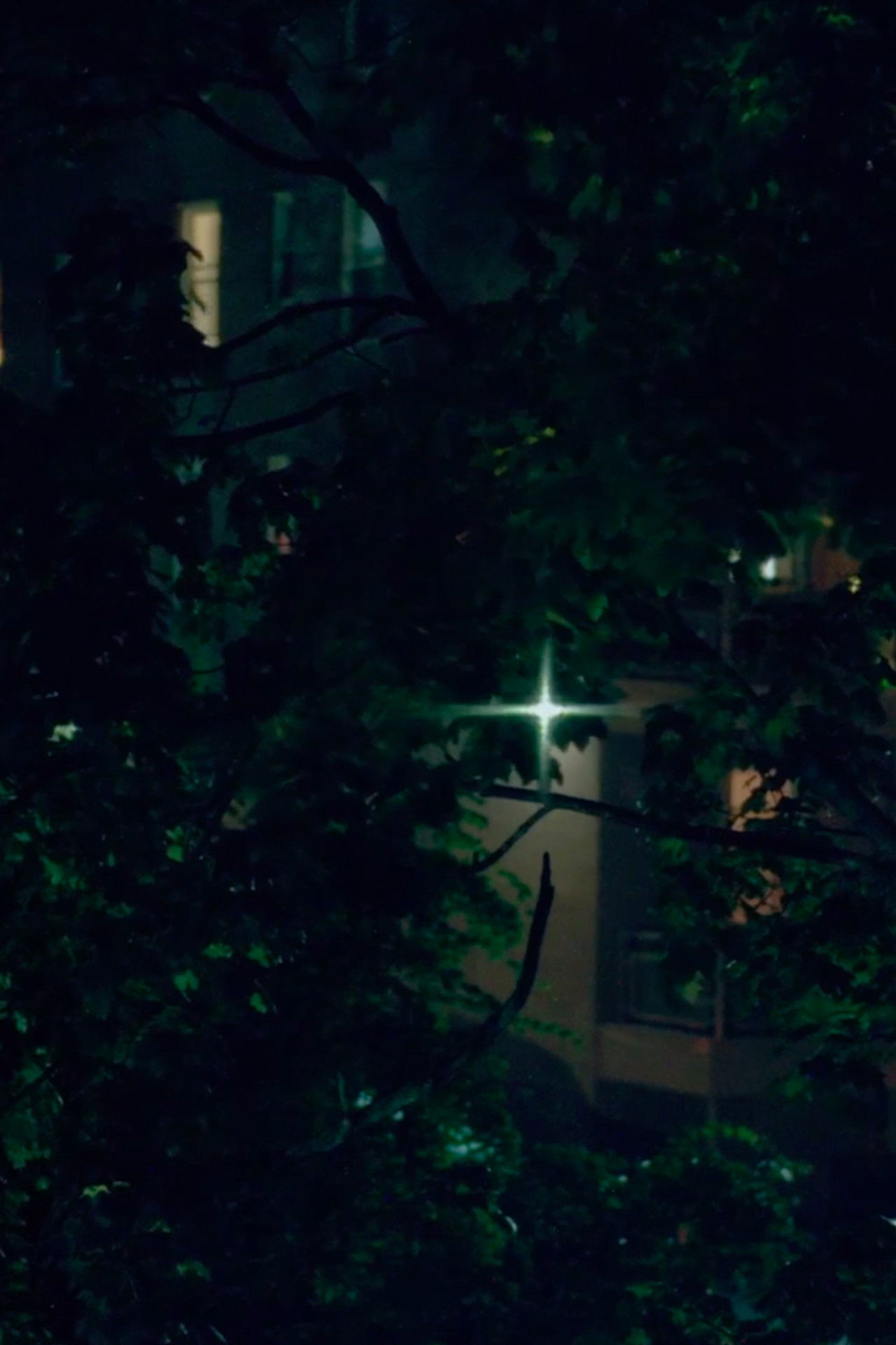 A Quality of Light Backdrop