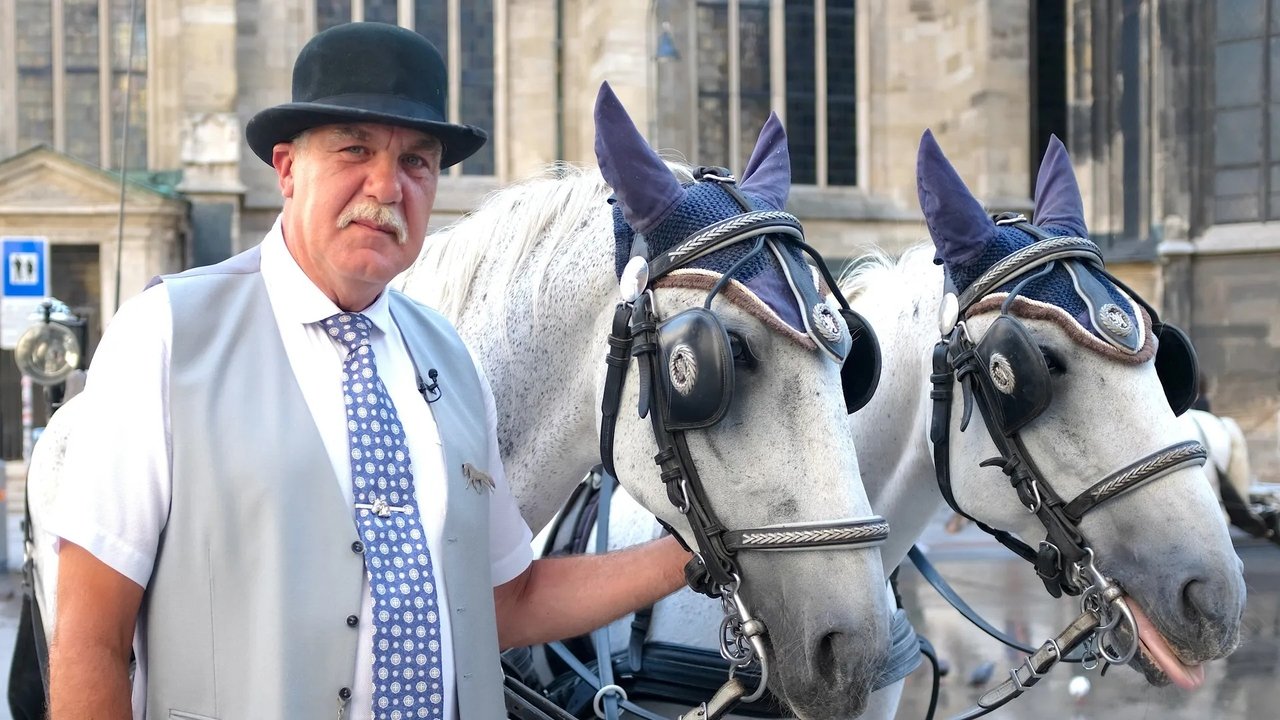 ARTE Re: - Season 9 Episode 136 : Episode 136