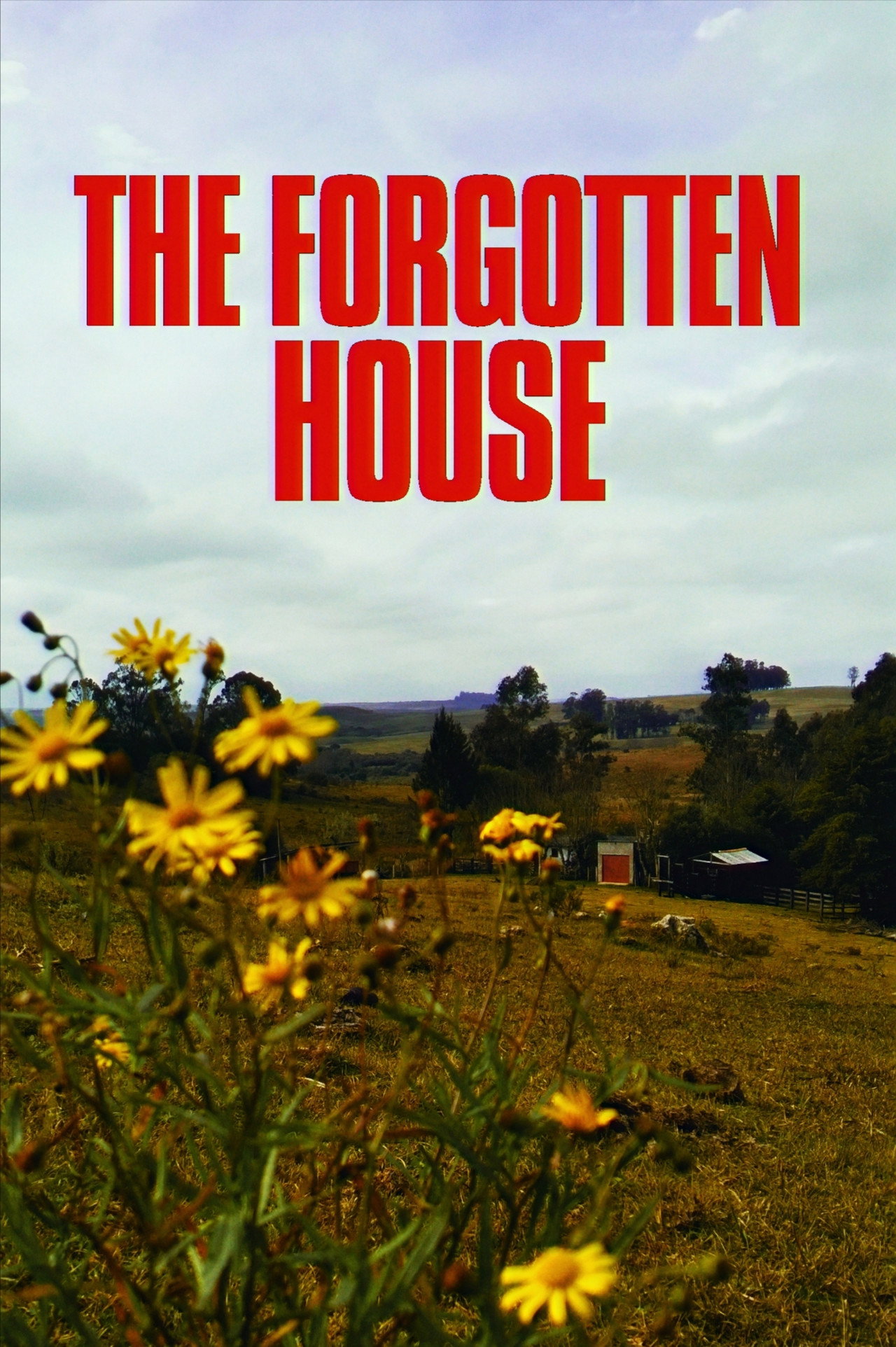 The Forgotten House poster