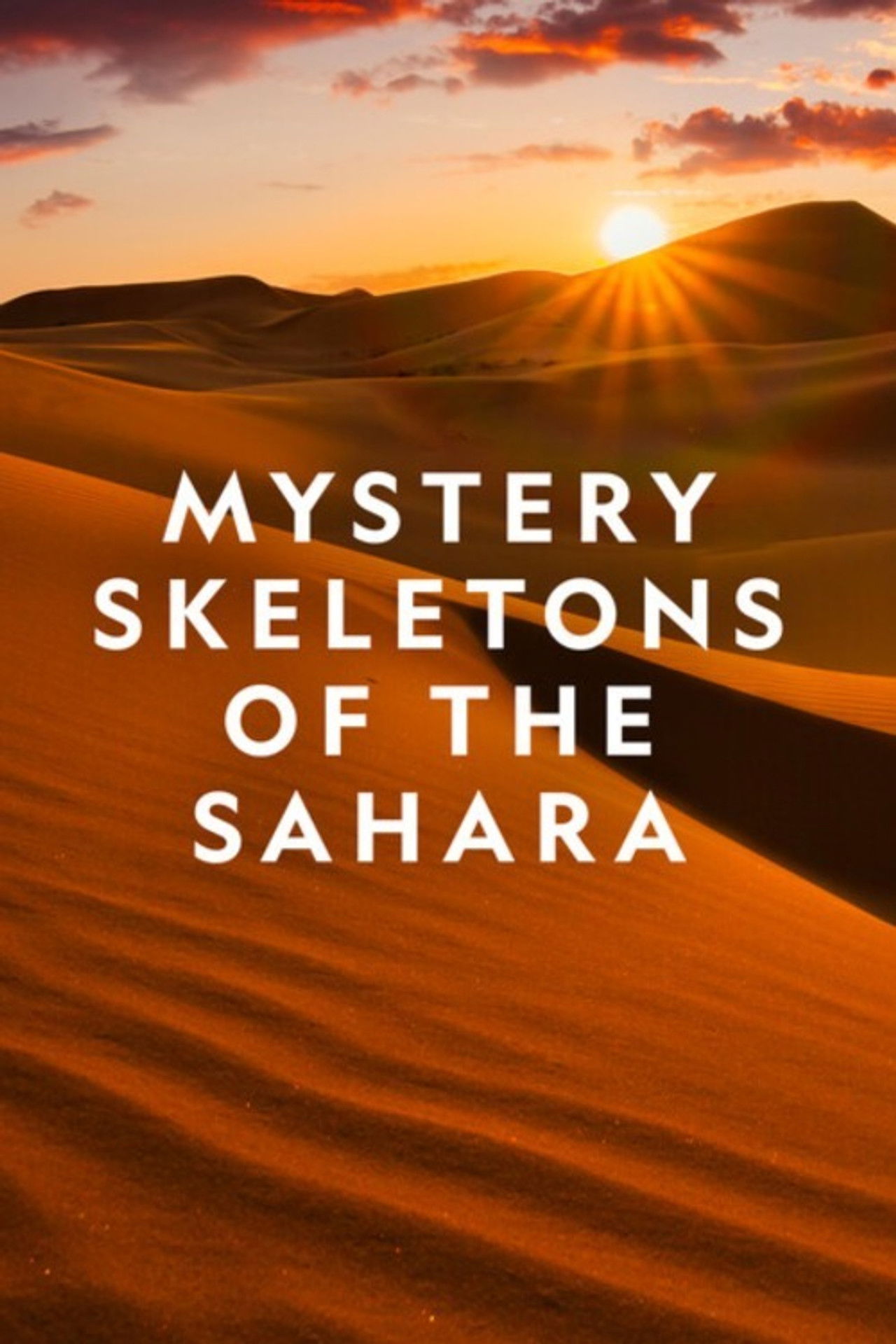 Mystery Skeletons of the Sahara Backdrop