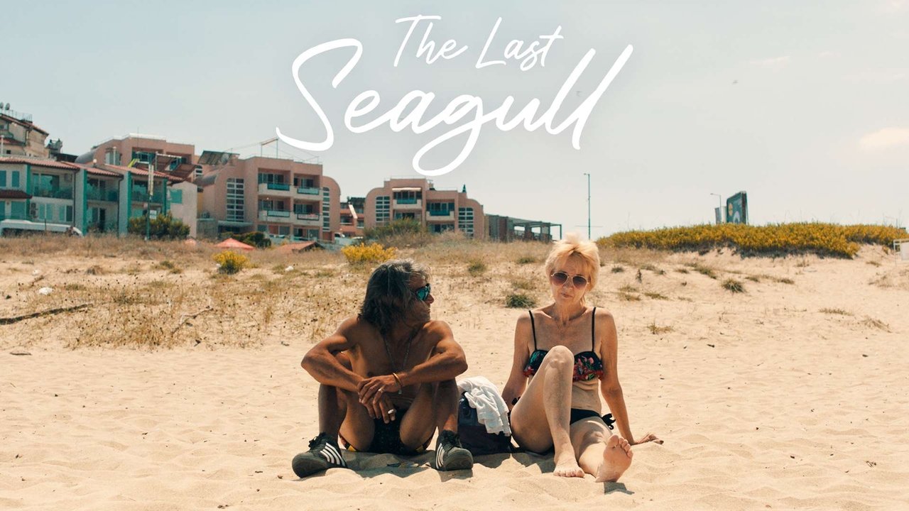 The Last Seagull