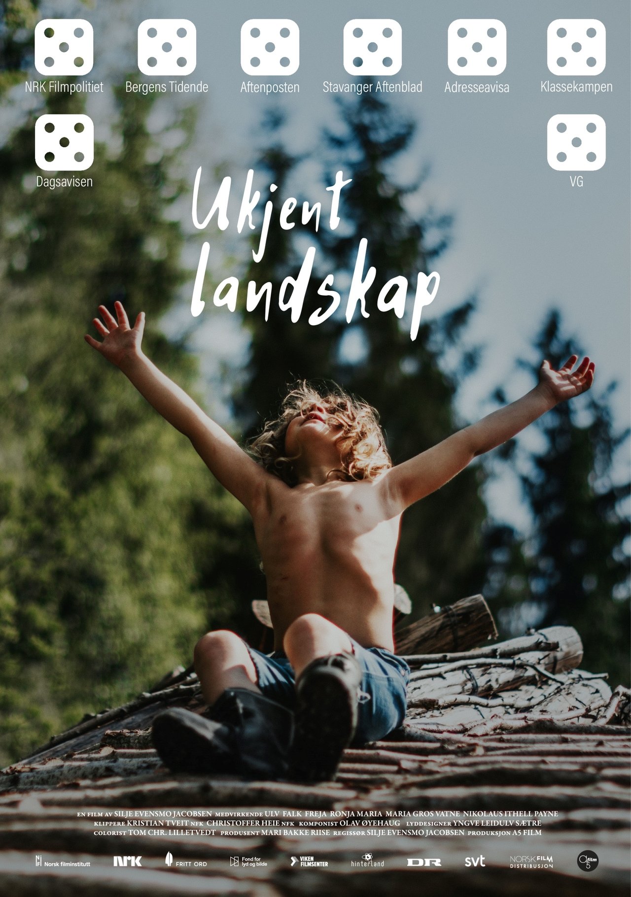 Ukjent landskap poster