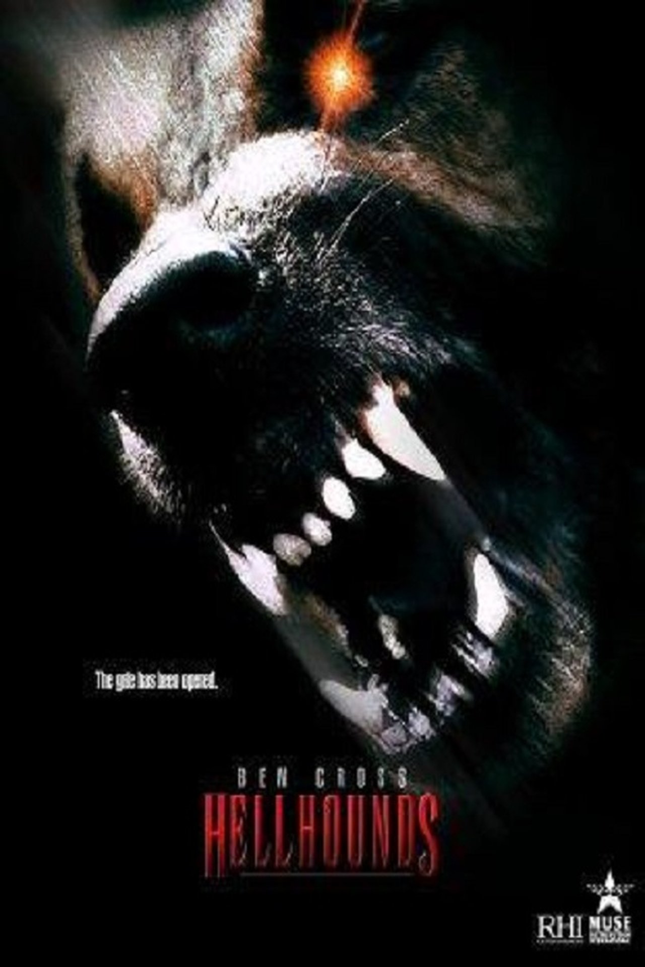 Hellhounds Hellhounds