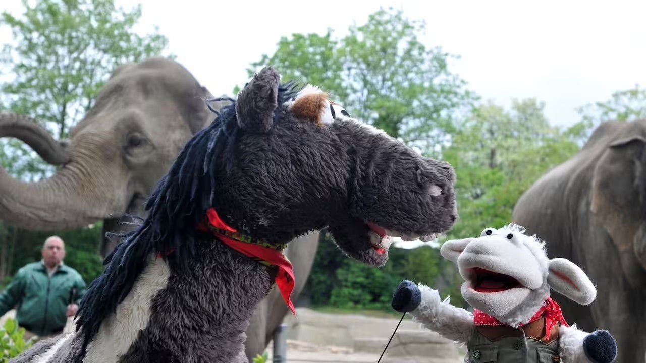 Sesamstraße präsentiert: Eine Möhre für zwei — Épisode 11