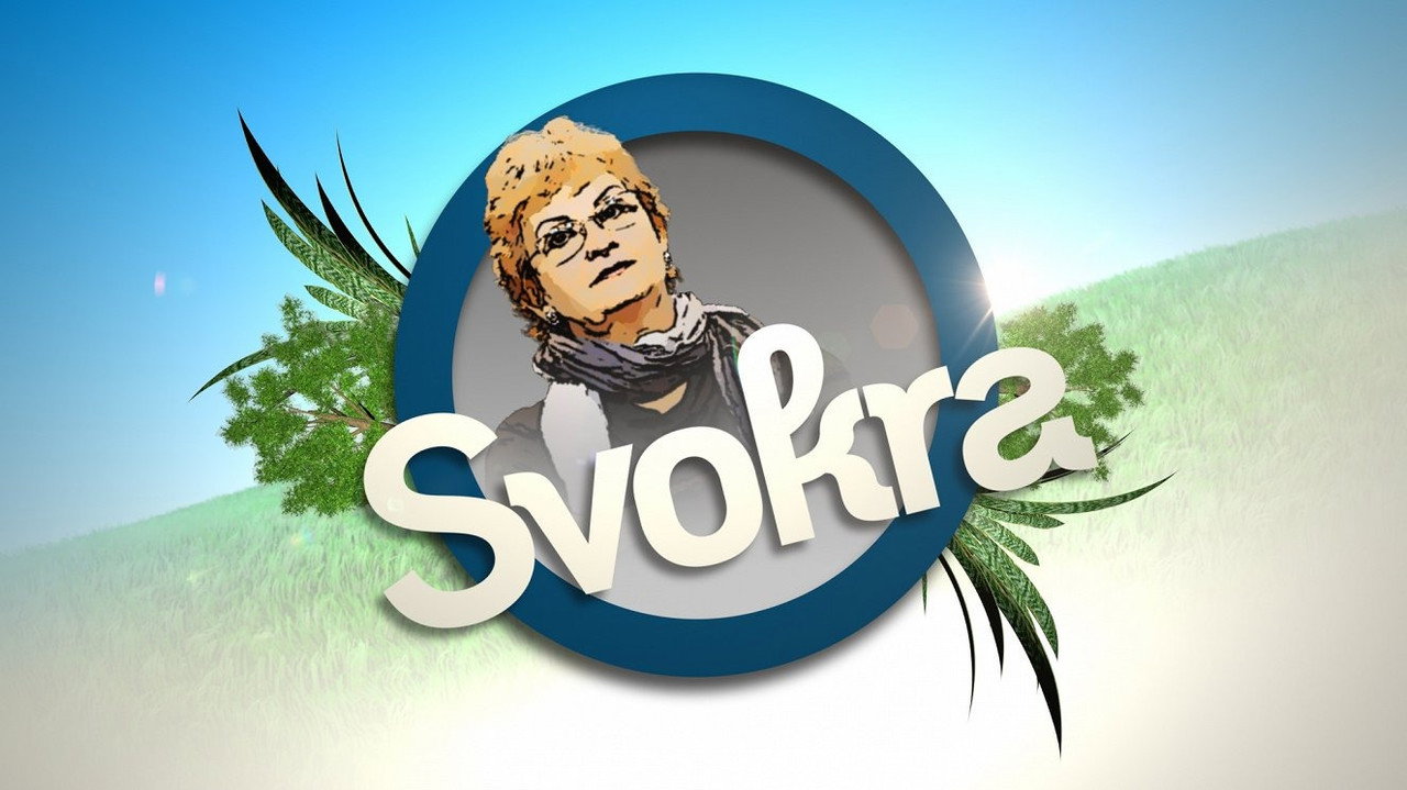 Svokra