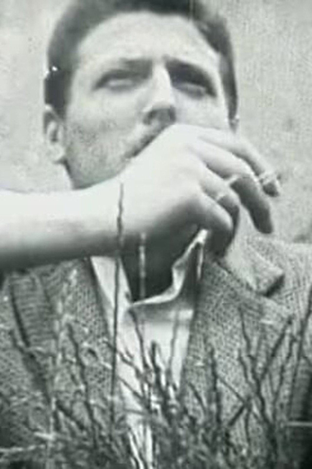 Suncokreti (Preludij; Trakavica; Avantira, Moja gospođa) filmaffisch