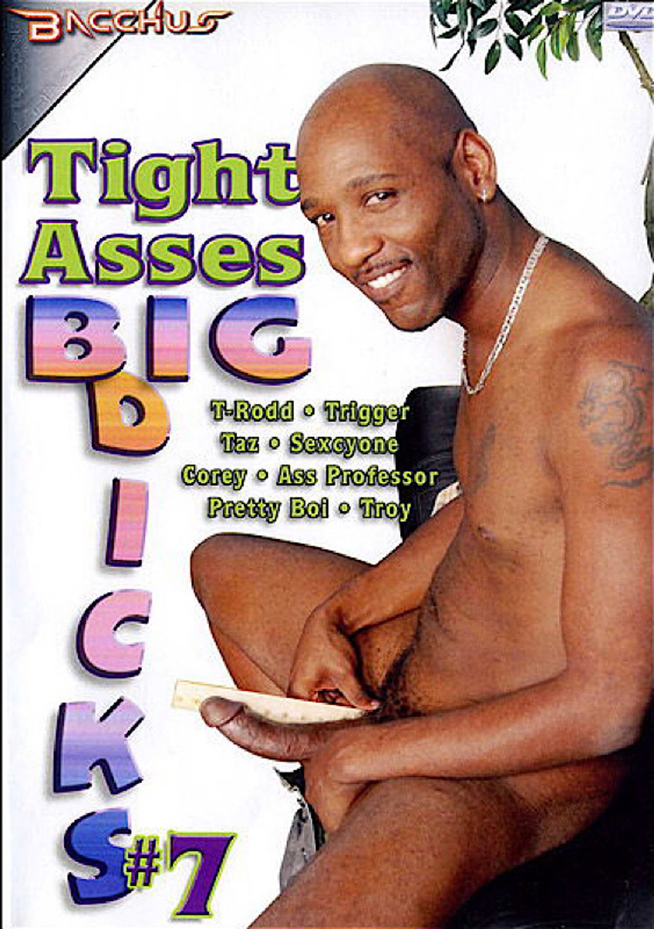 Tight Asses Big Dicks 7 filmaffisch