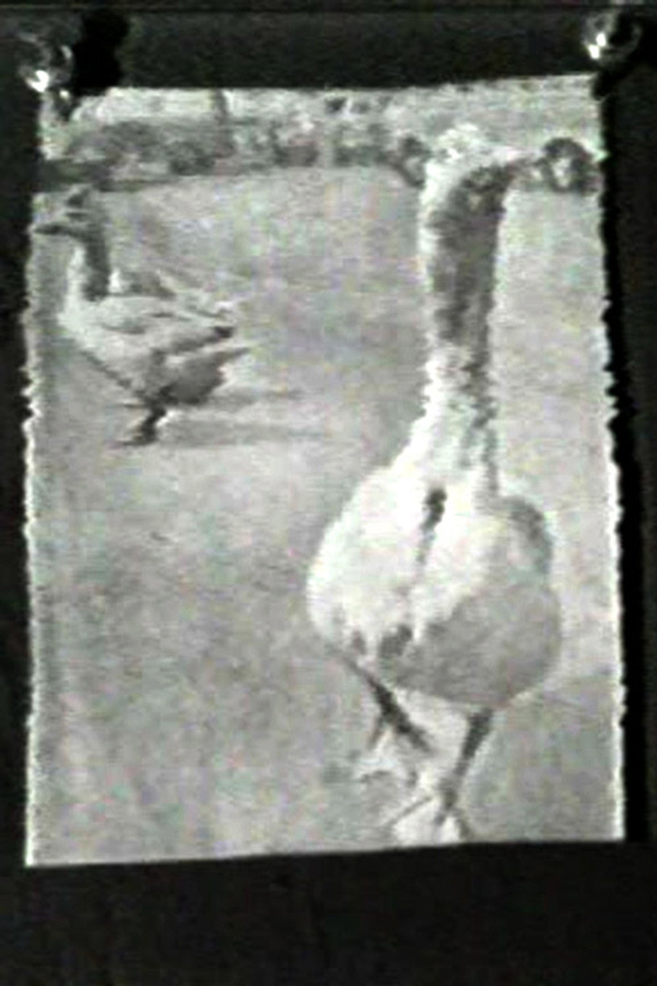 The Meaning of Various News Photos to Ed Henderson filmaffisch
