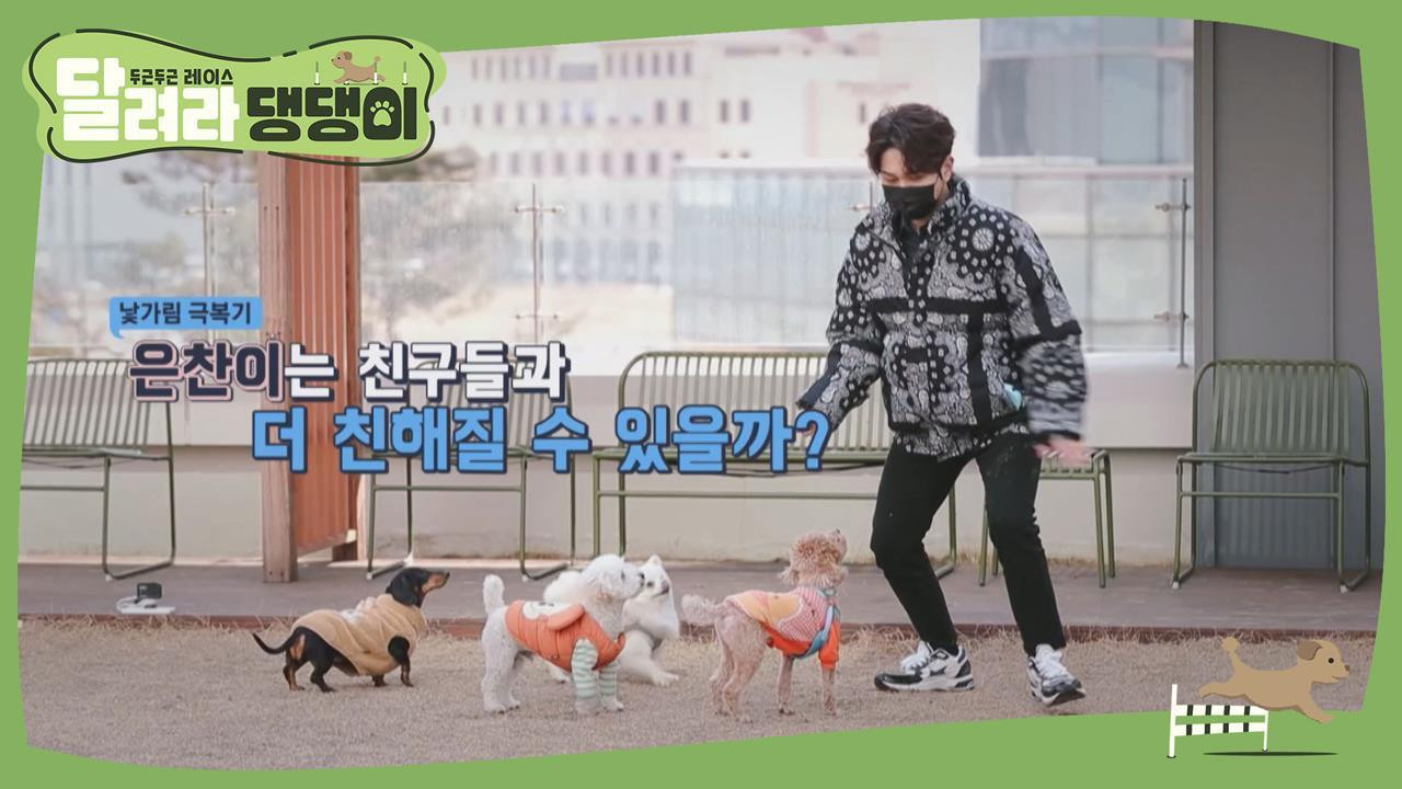 달려라 댕댕이 — Épisode 3