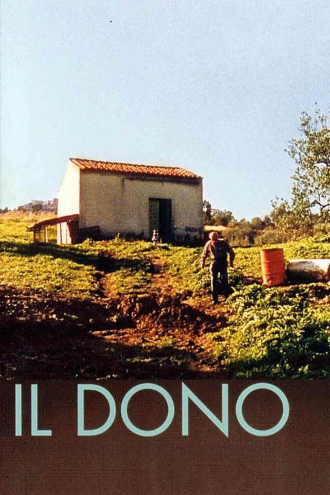 Il dono filmaffisch