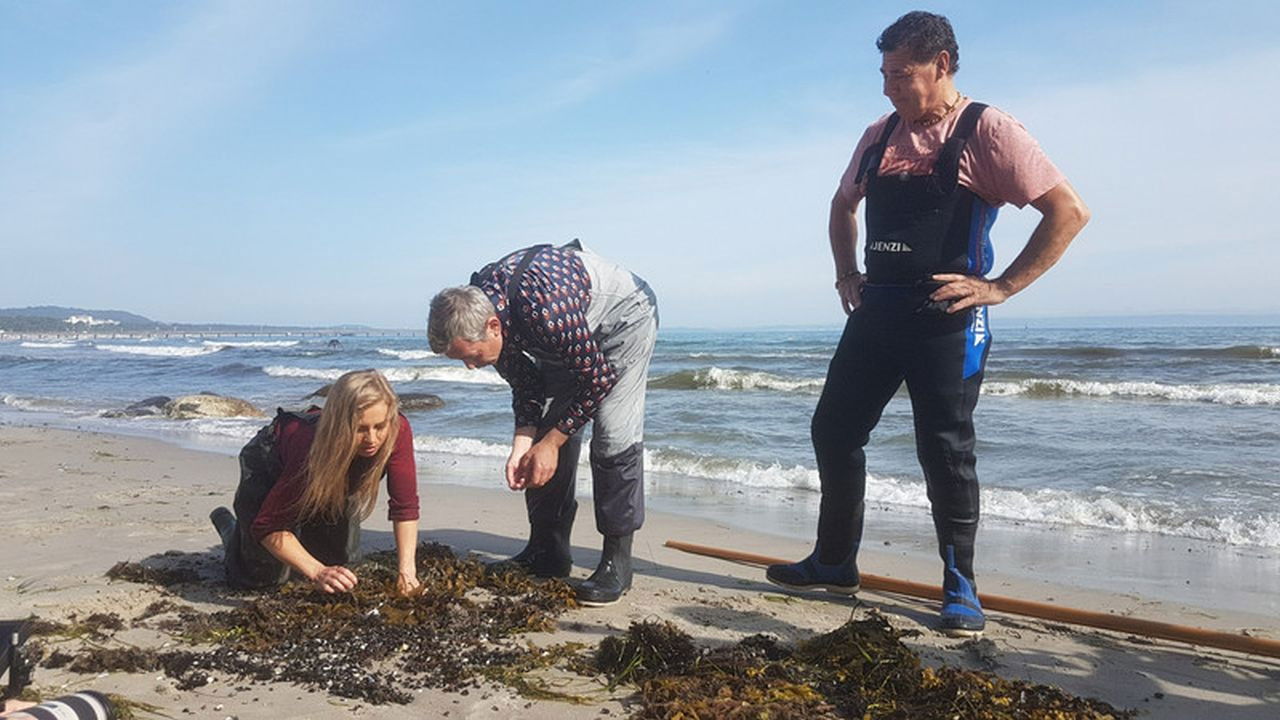 Kaminer Inside — Épisode 4