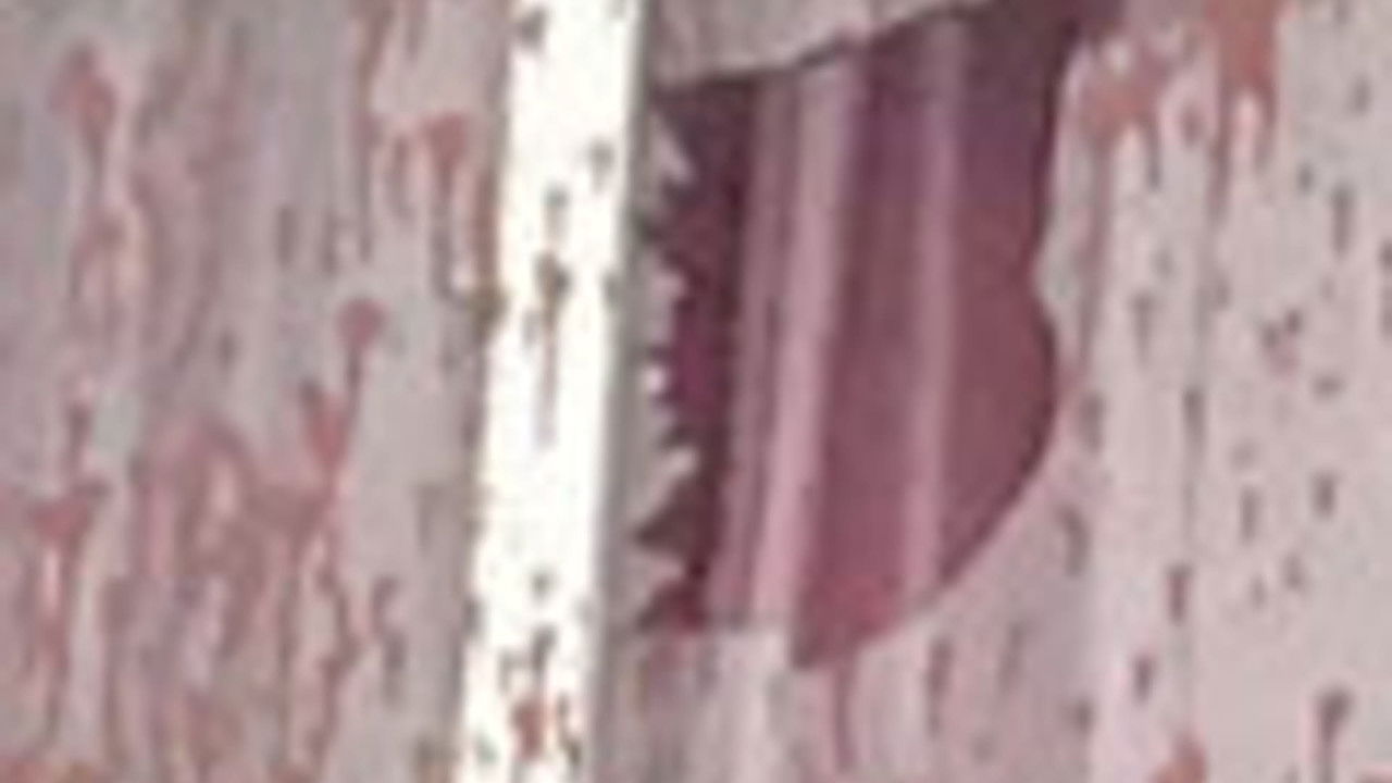 传奇故事 — Épisode 108