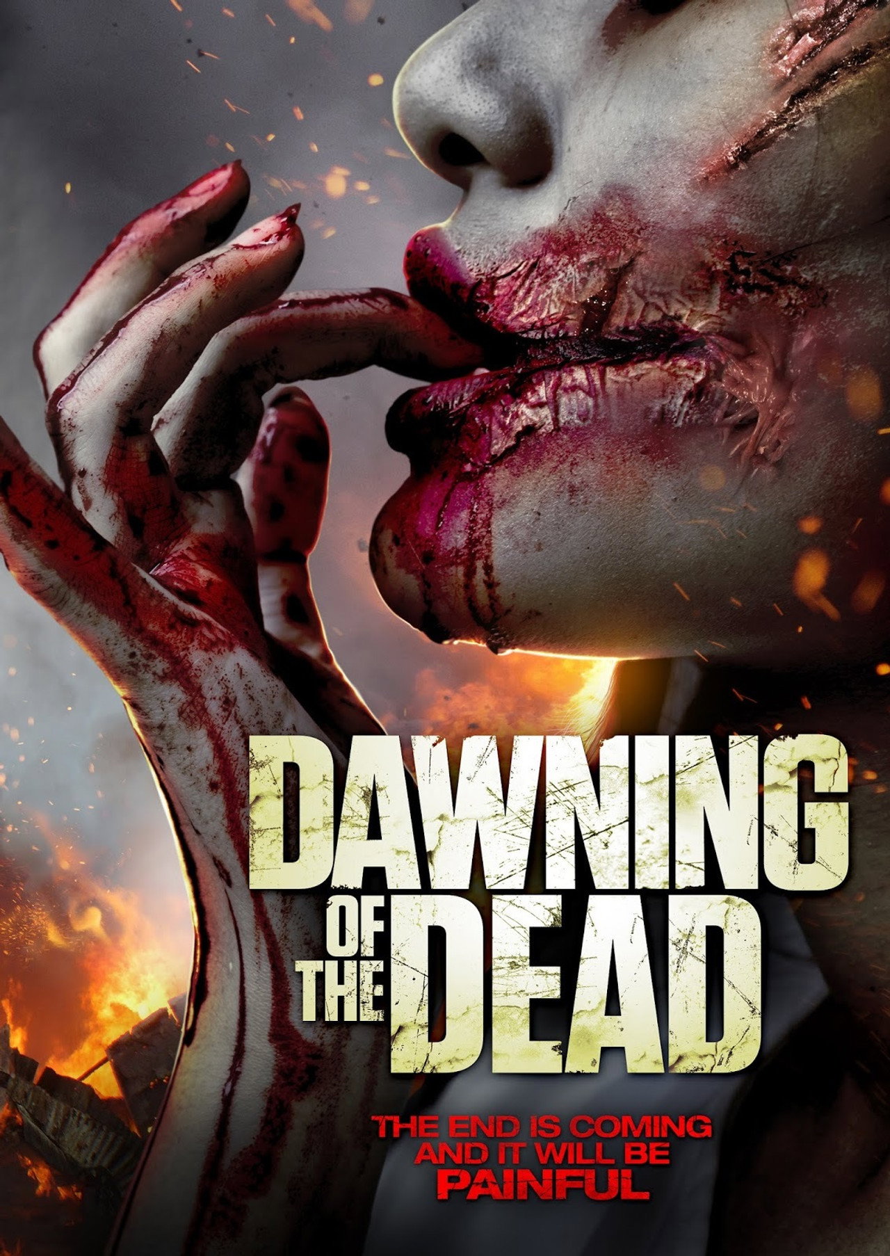 Dawning Of The Dead filmaffisch
