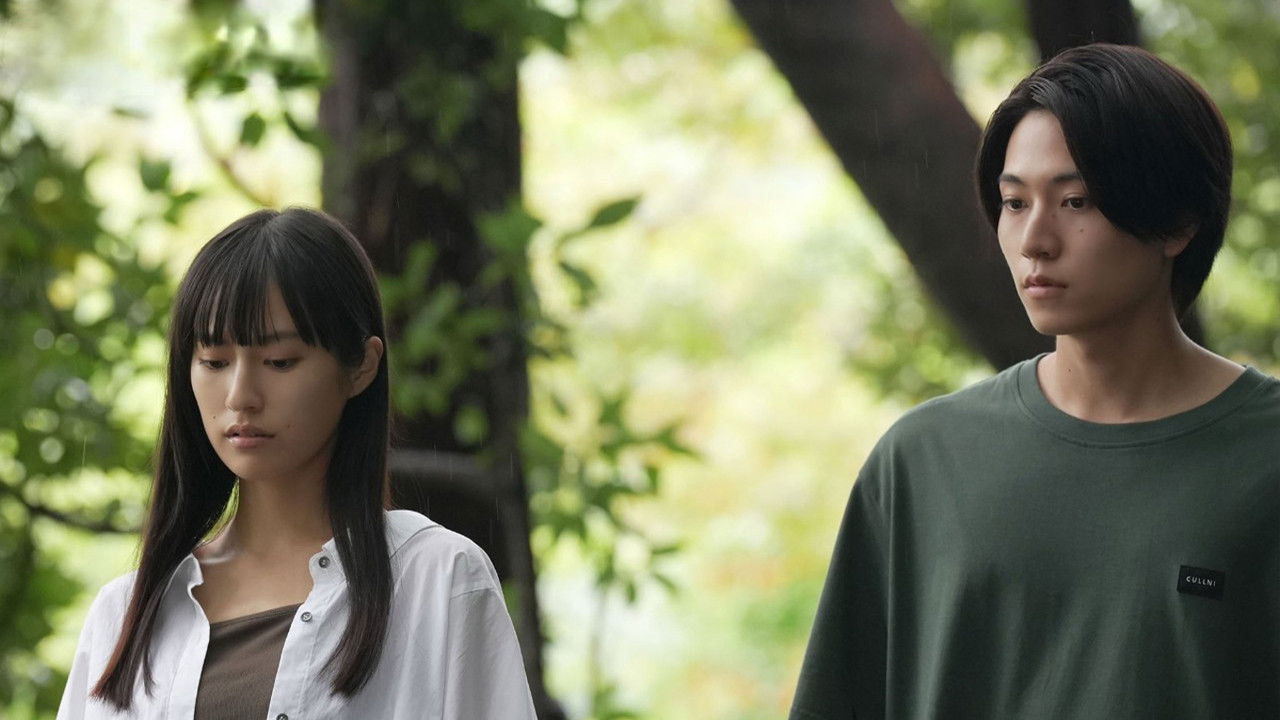 ひと夏の共犯者