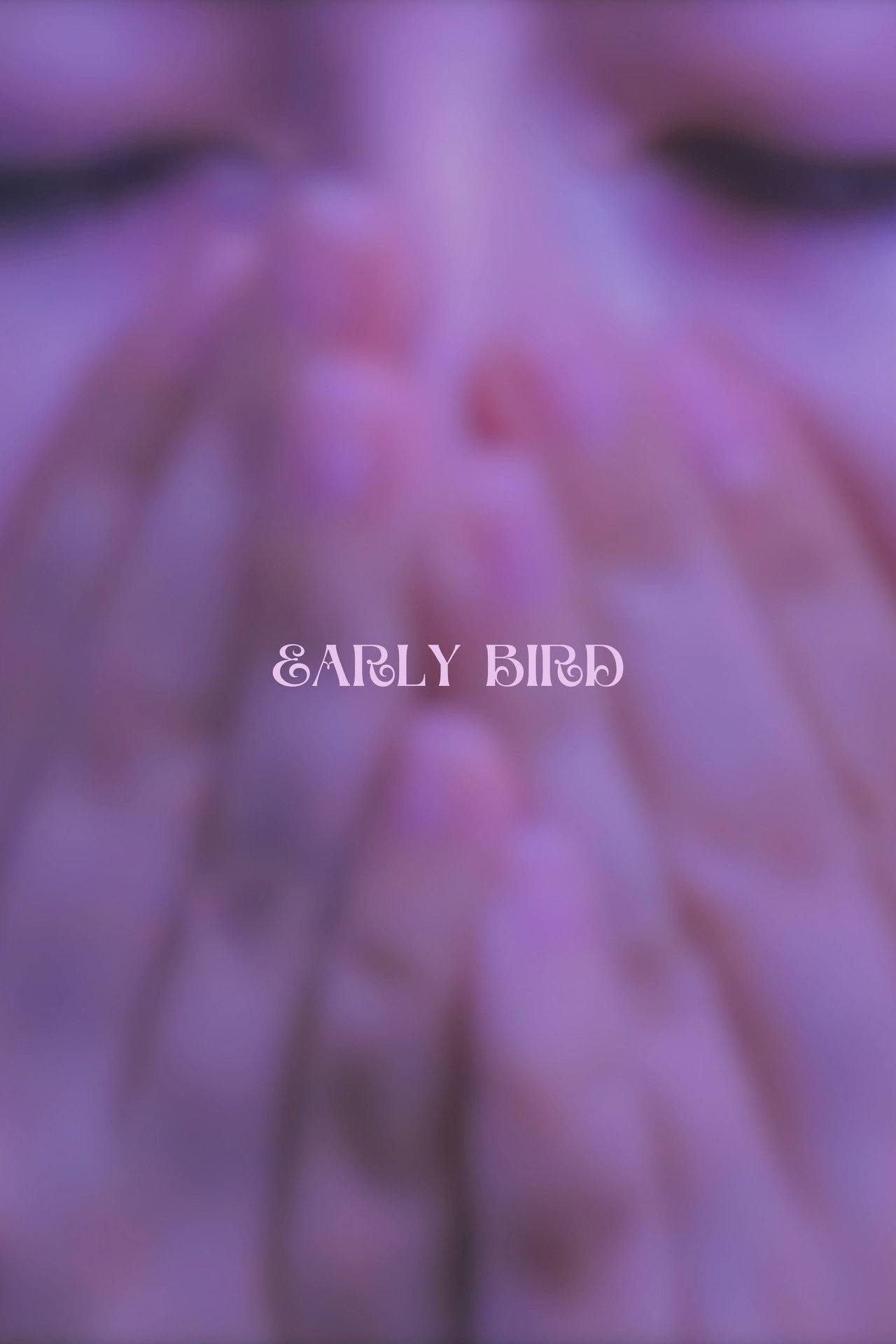Early Bird filmaffisch