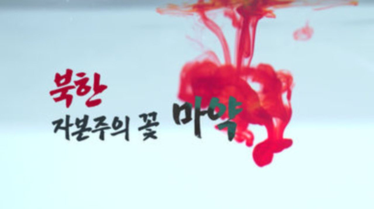 시사기획 창 - Season 1 Episode 378 : Episode 378