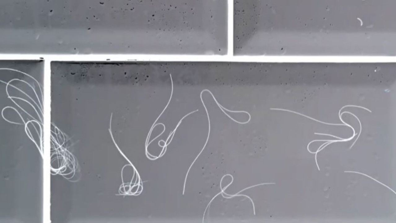 pa rrëfim të flokëve backdrop