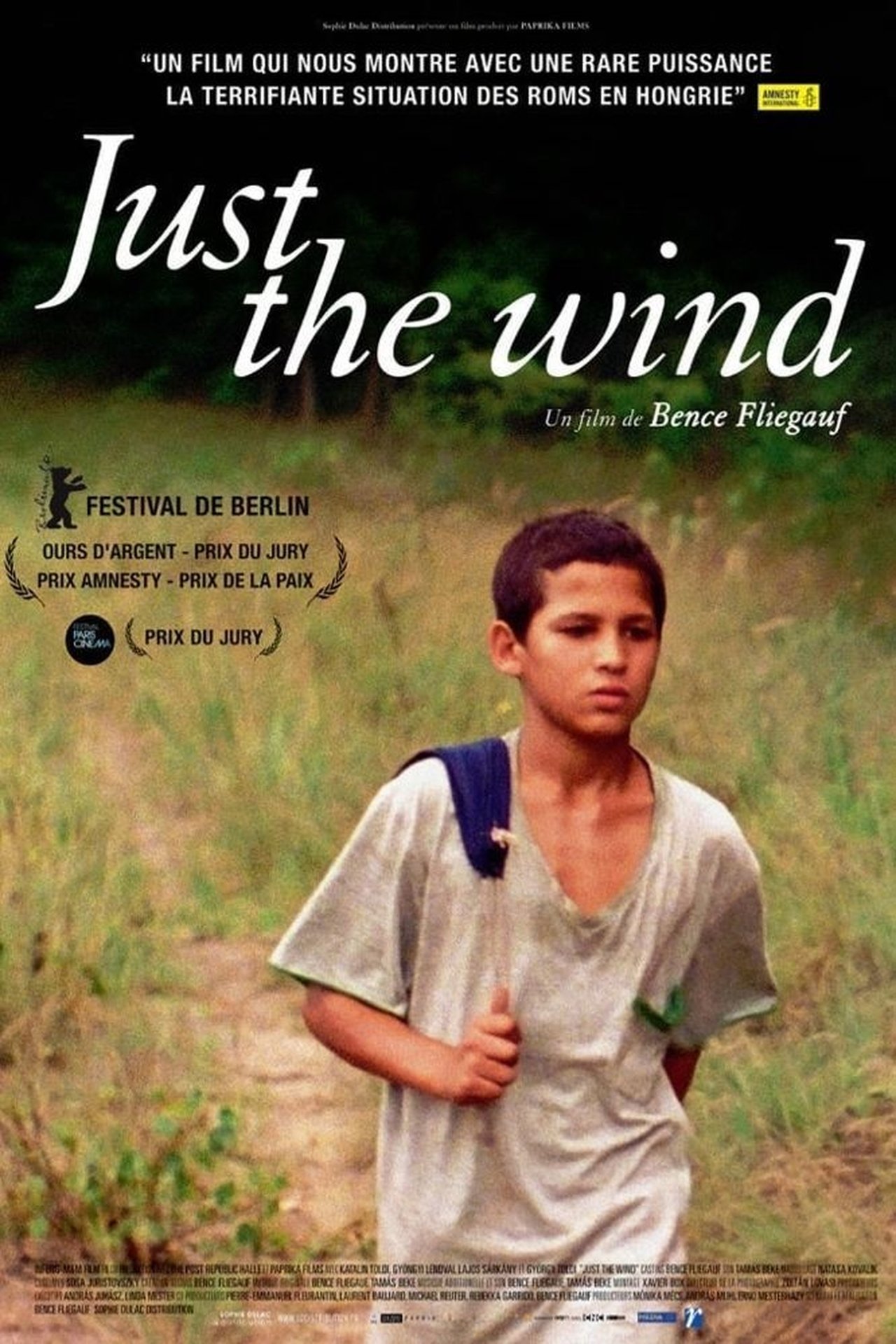 Just the wind poster