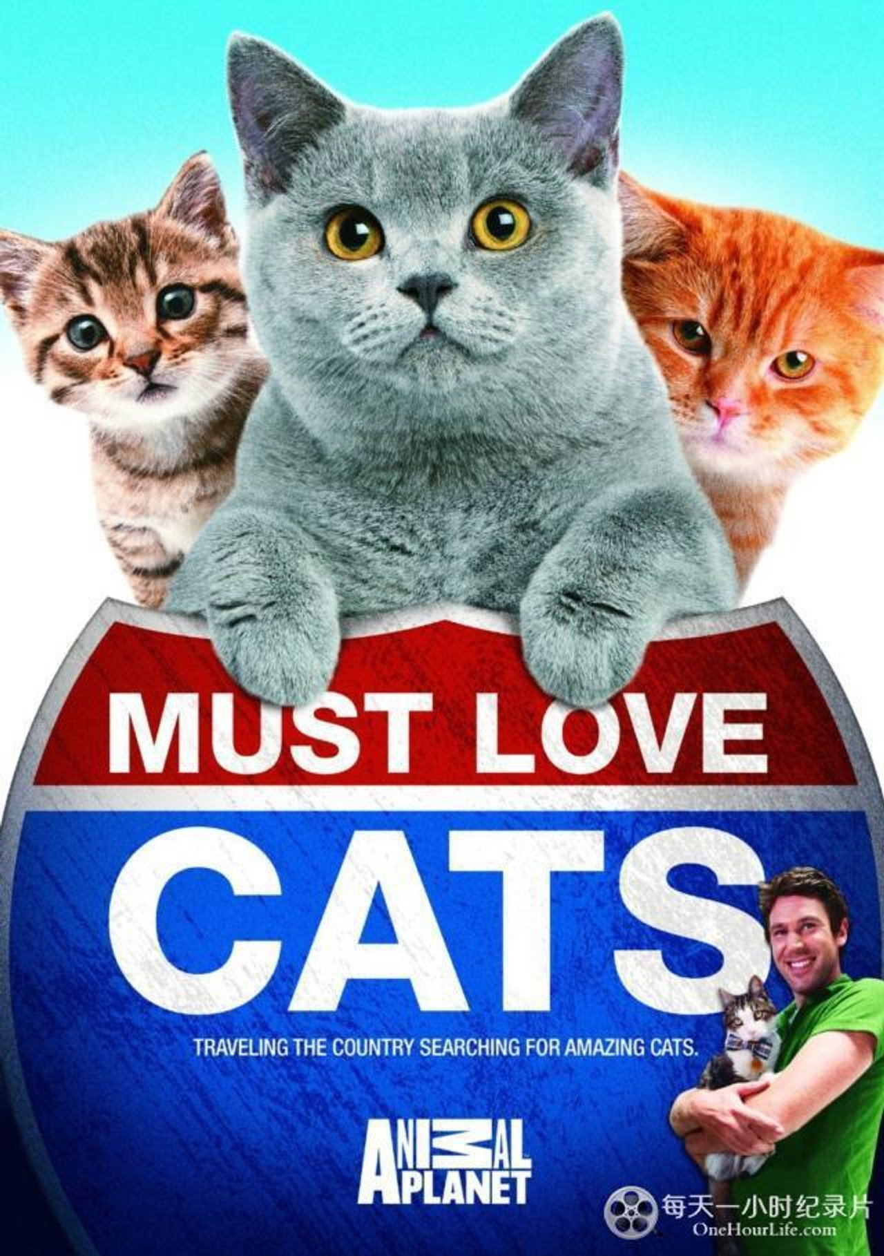 Animal Planet: Must Love Cats affisch