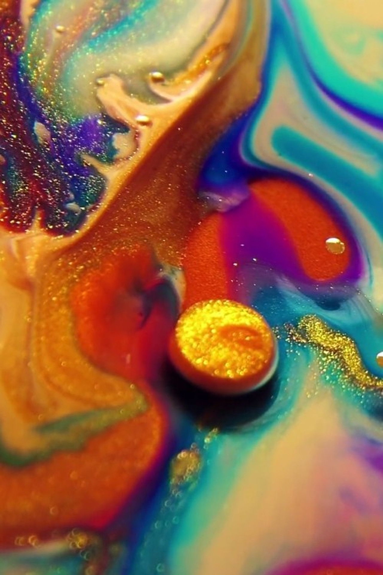 Kingdom of Colours Backdrop