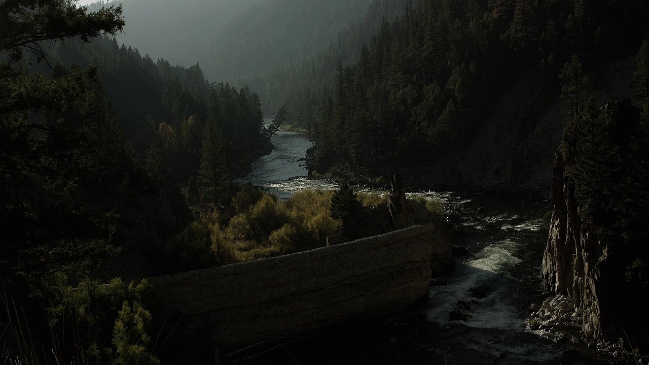 River of Fundament (2014)