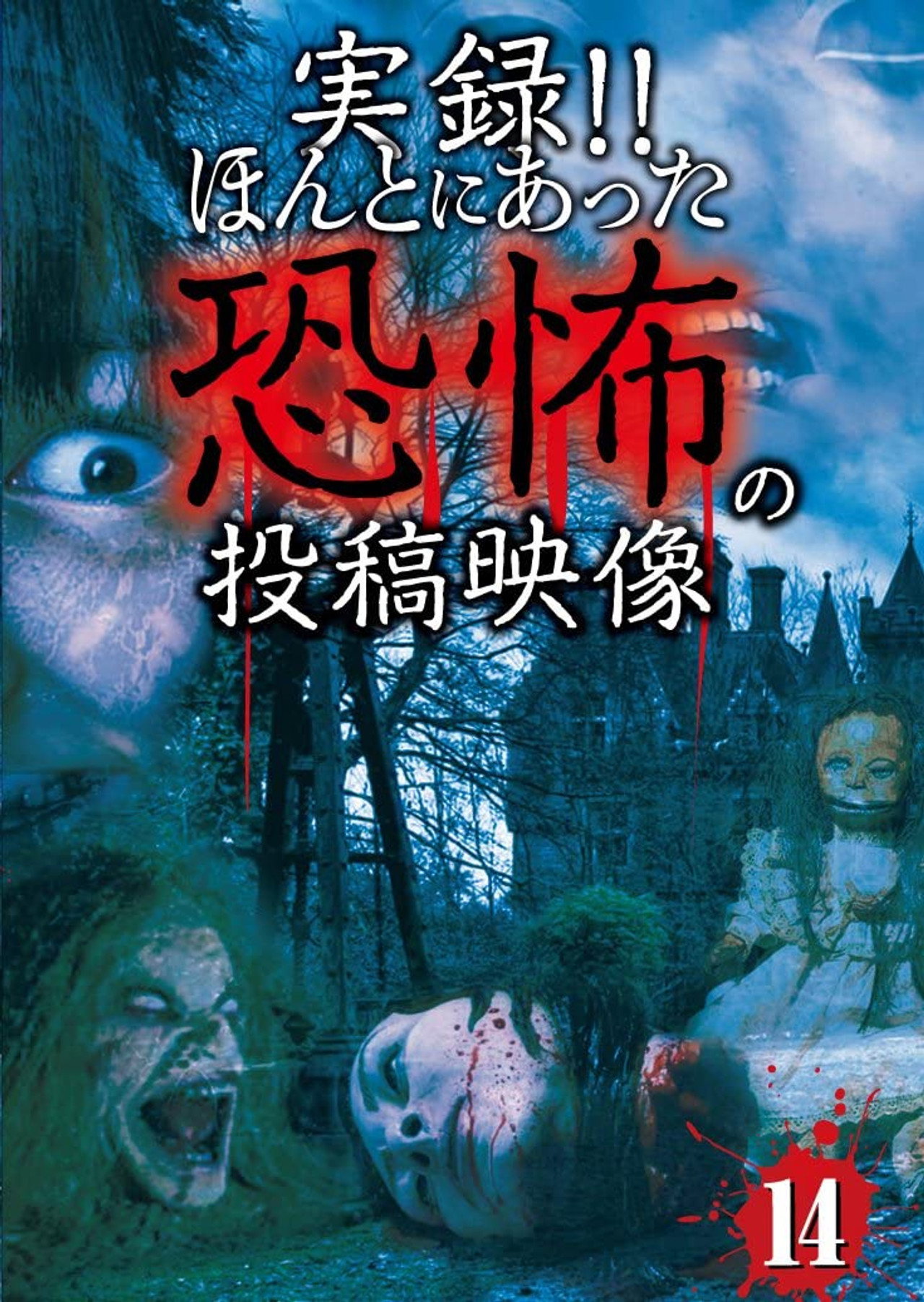 Actual Record! Real Horror Posted Video 14 poster