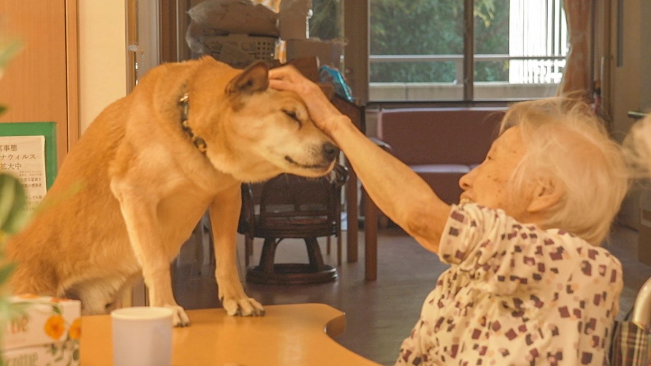 NHK WORLD PRIME - Season 7 Episode 5 : End-of-Life Guardians