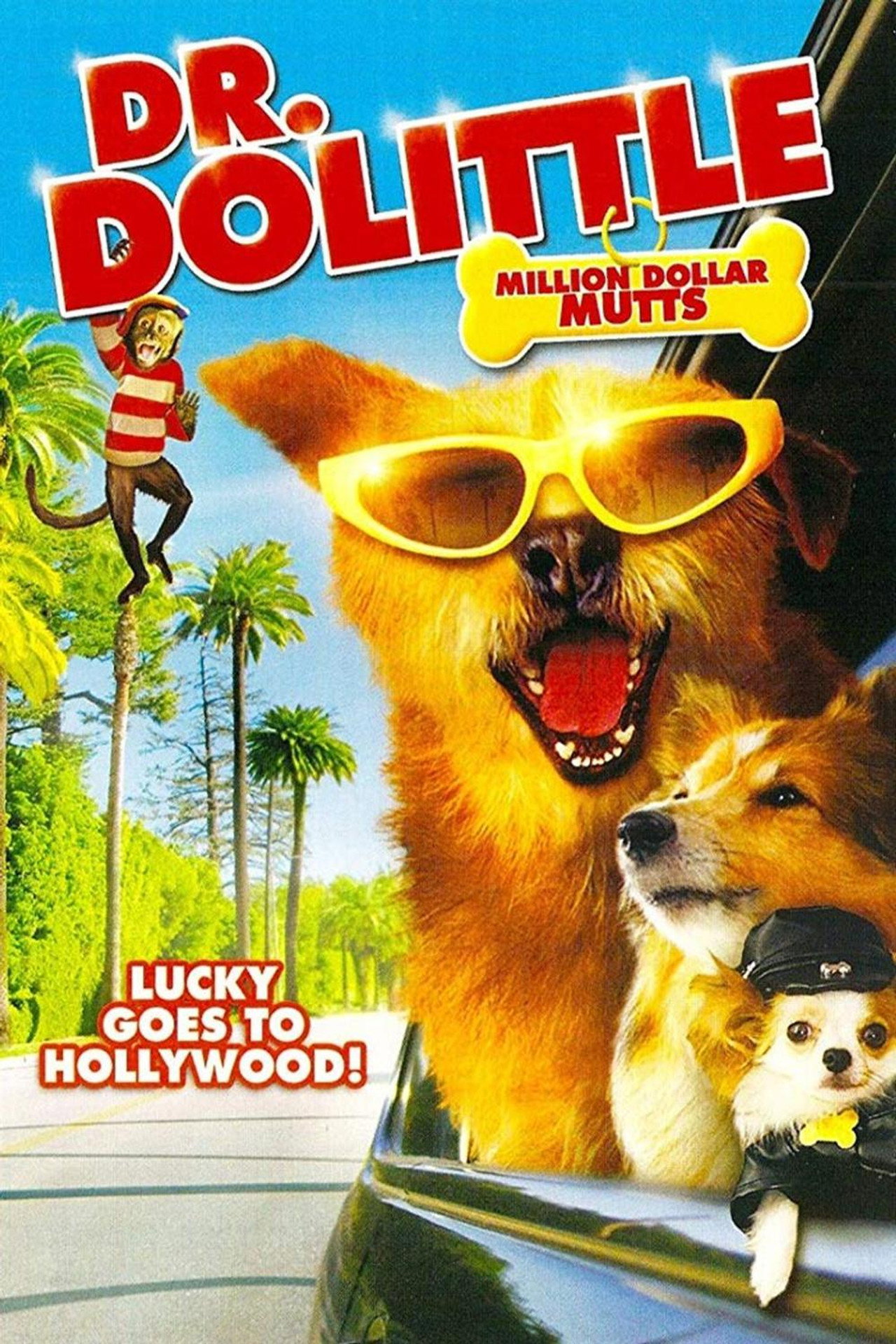 Dr. Dolittle: Millió dolláros szőrmókok – plakát 6