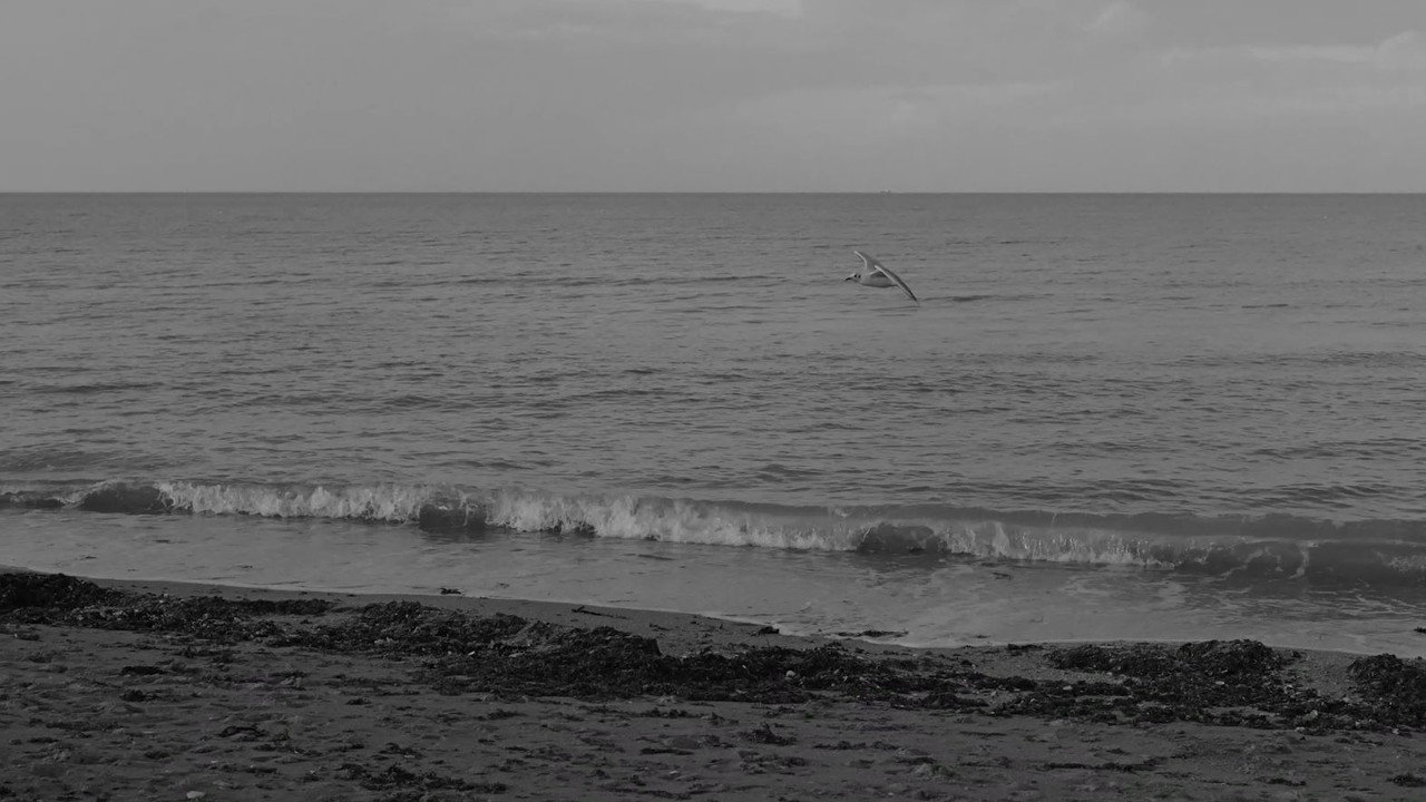 Comptons les douces larmes