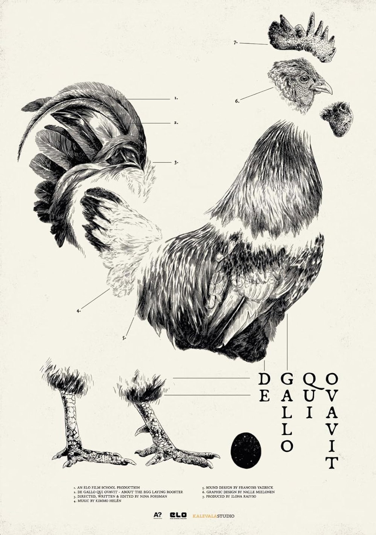 De Gallo Qui Ovavit