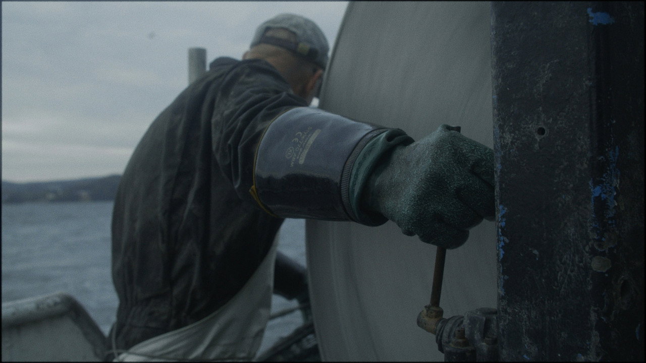 Caught in the net still 7