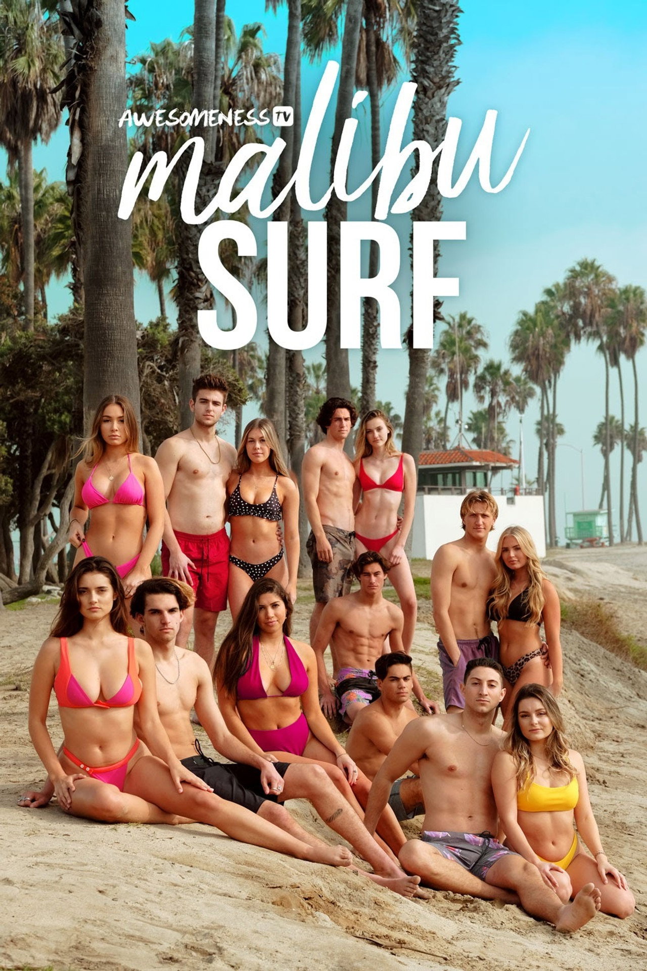 Malibu Surf affisch