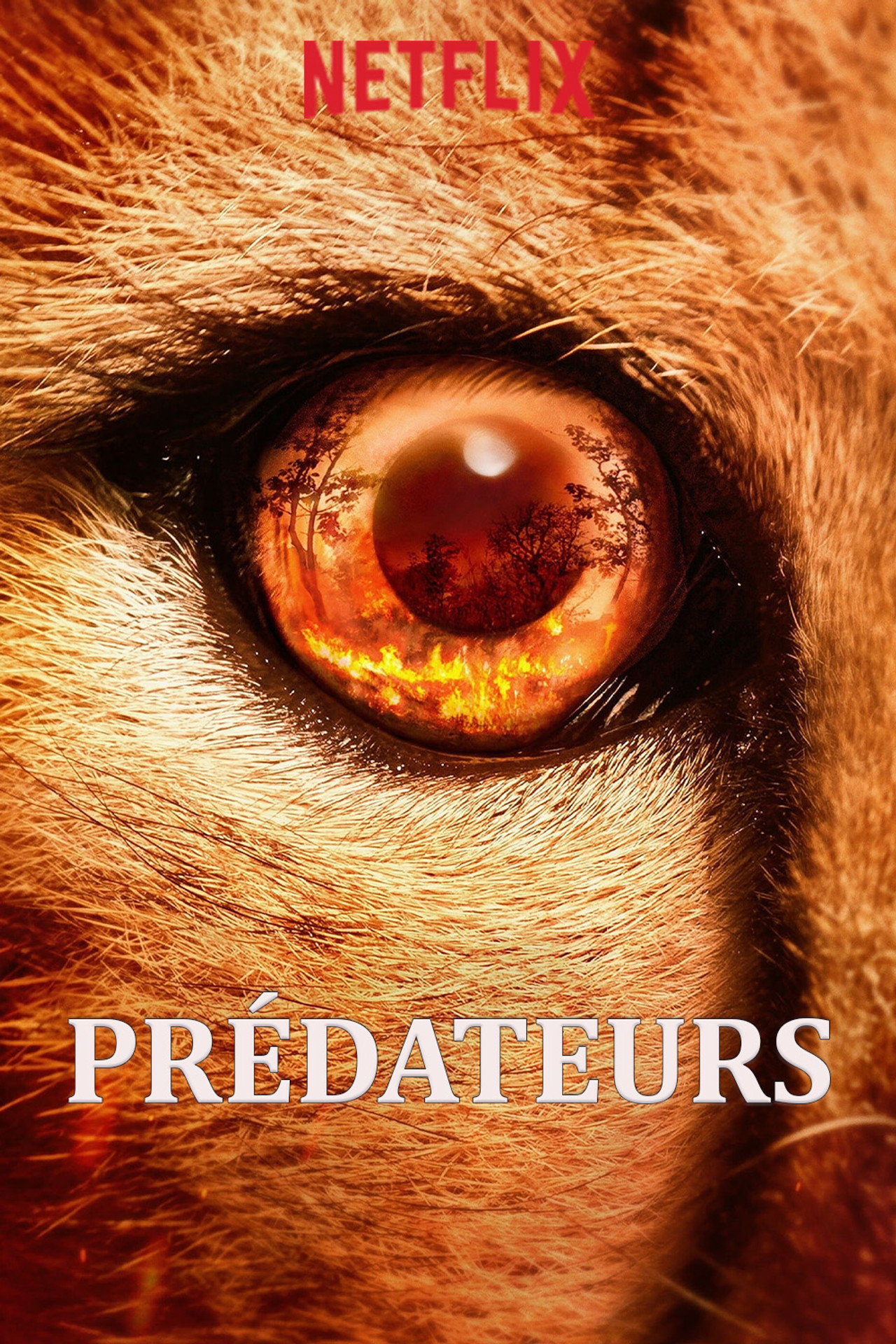 Predators (2023) Hindi Season 1 Complete Netflix backdrop