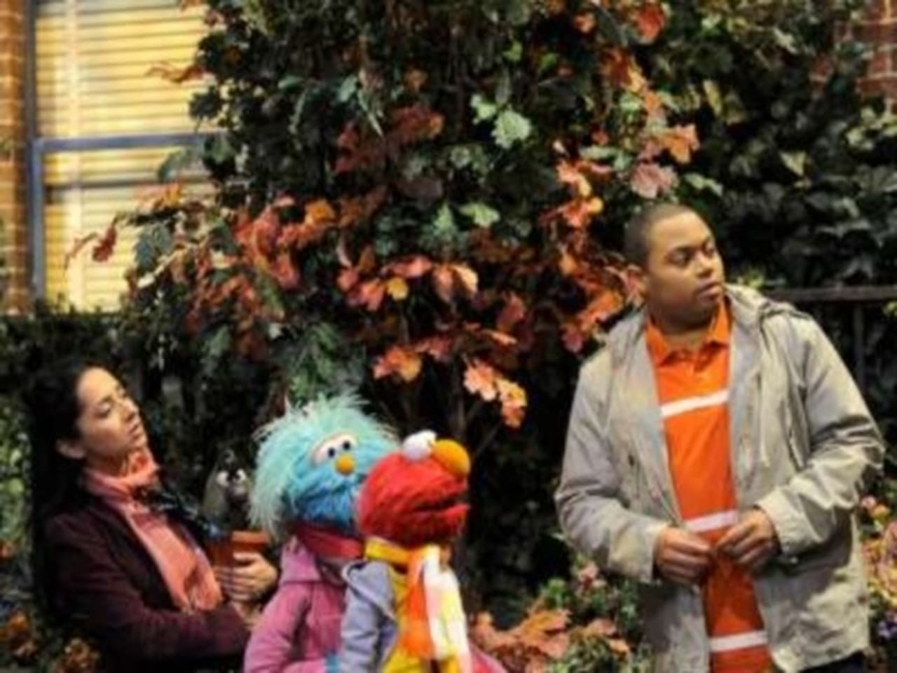 Sesame Street - Season 42 Episode 21 : Falling Leaves