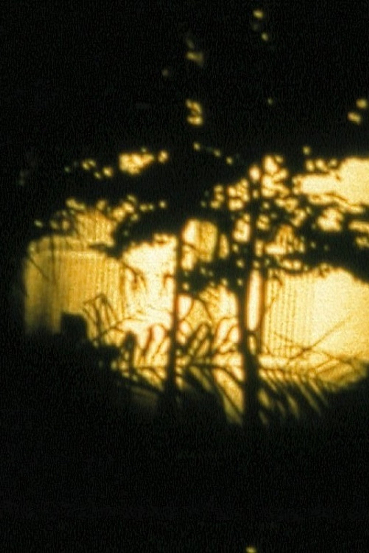 Hôtel Turkoman filmaffisch