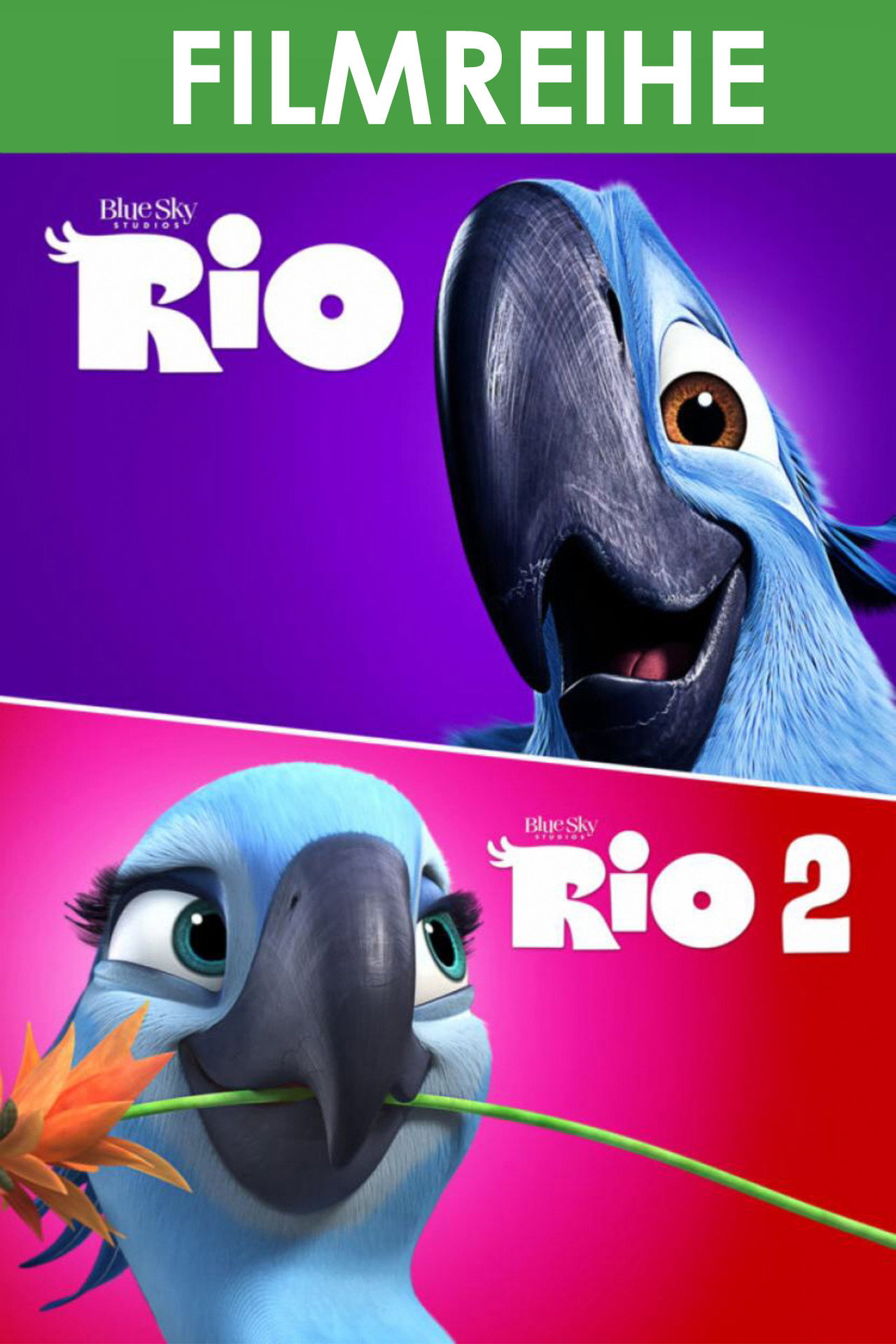 Rio: Coleção