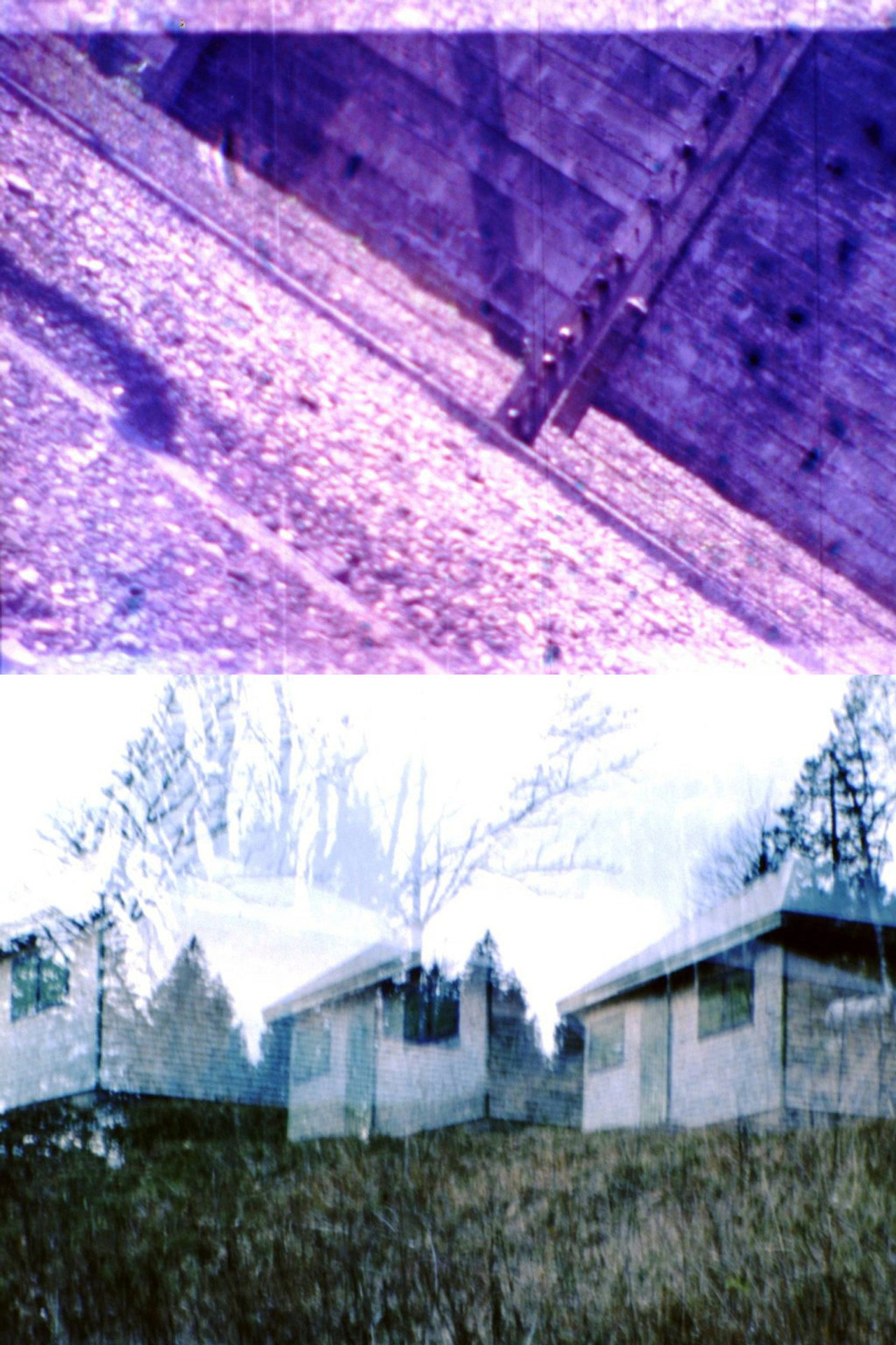 HEIDEGGER IN AUSCHWITZ filmaffisch
