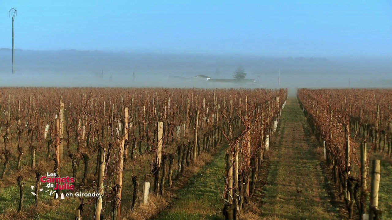 Les Carnets de Julie — Le Pays de Saint-Emilion, en Gironde