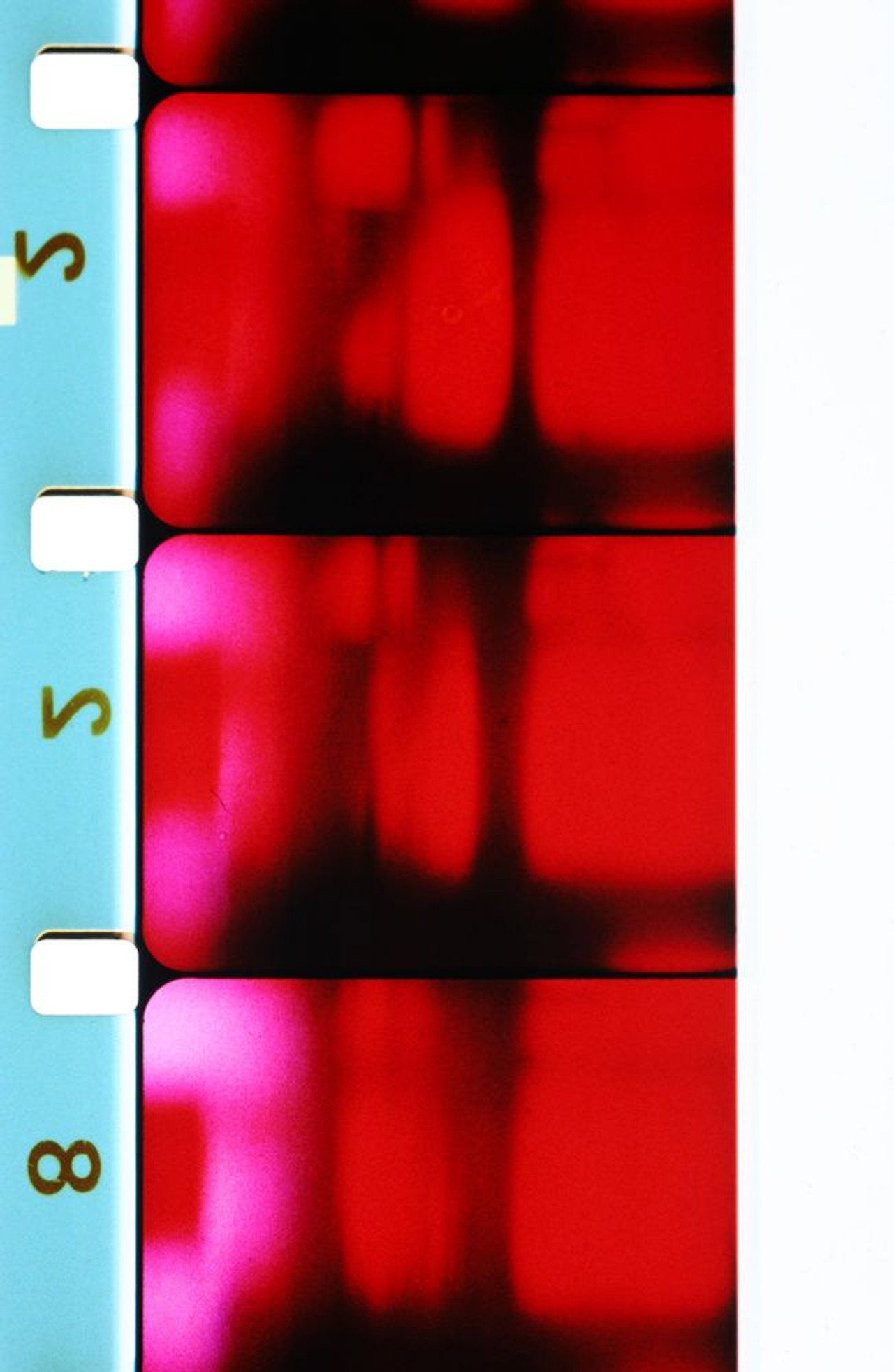 Sculptures, projections, peintures filmaffisch