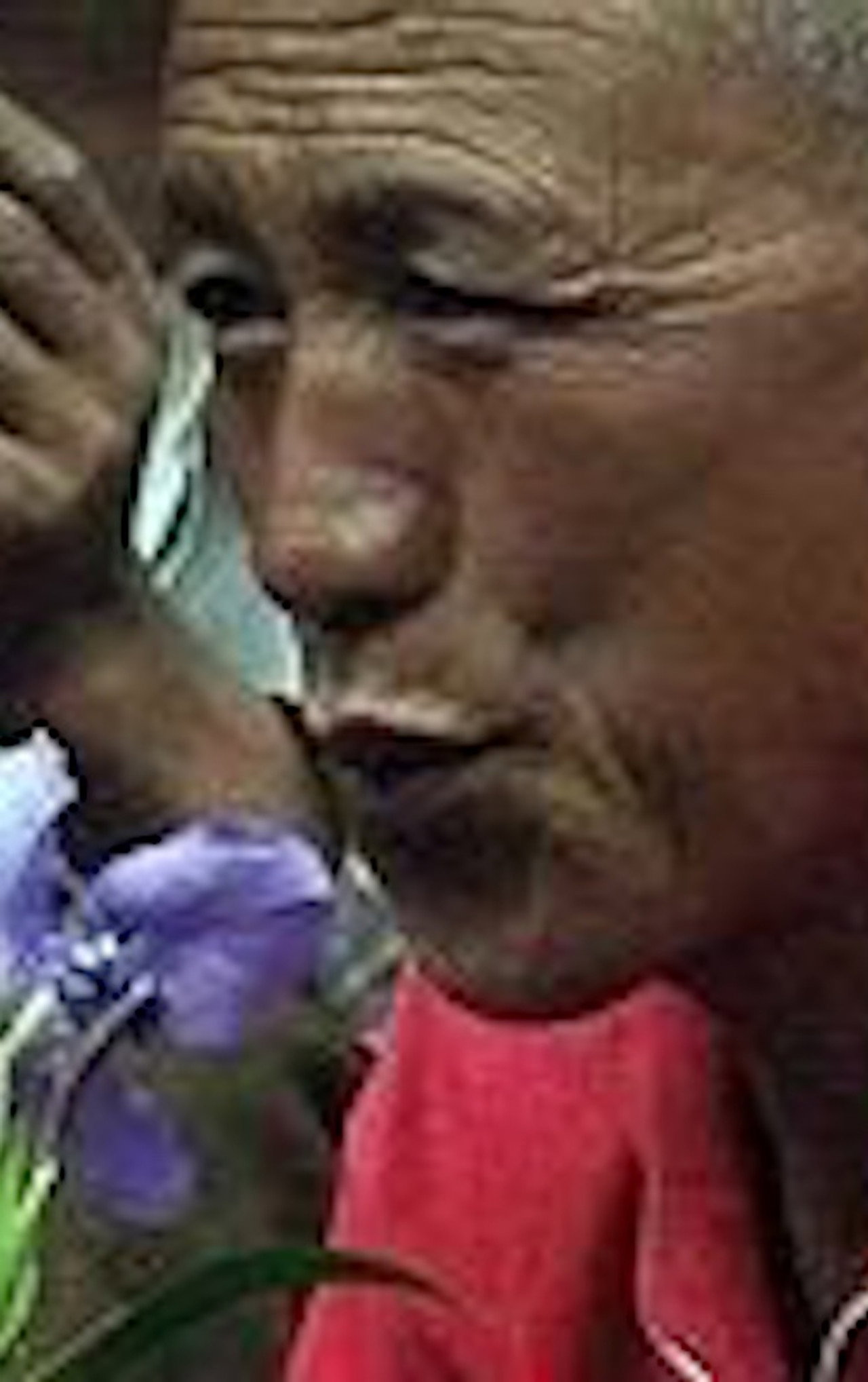 加达村的男人和女人 filmaffisch