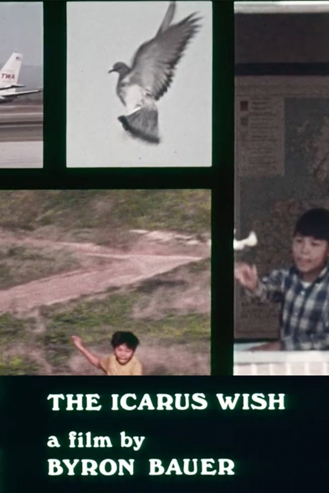 The Icarus Wish Backdrop
