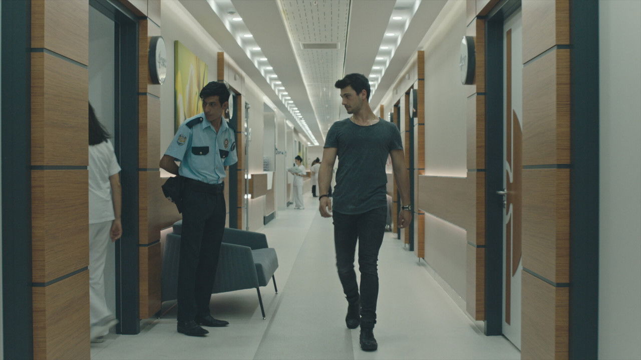 Avlu — Épisode 16