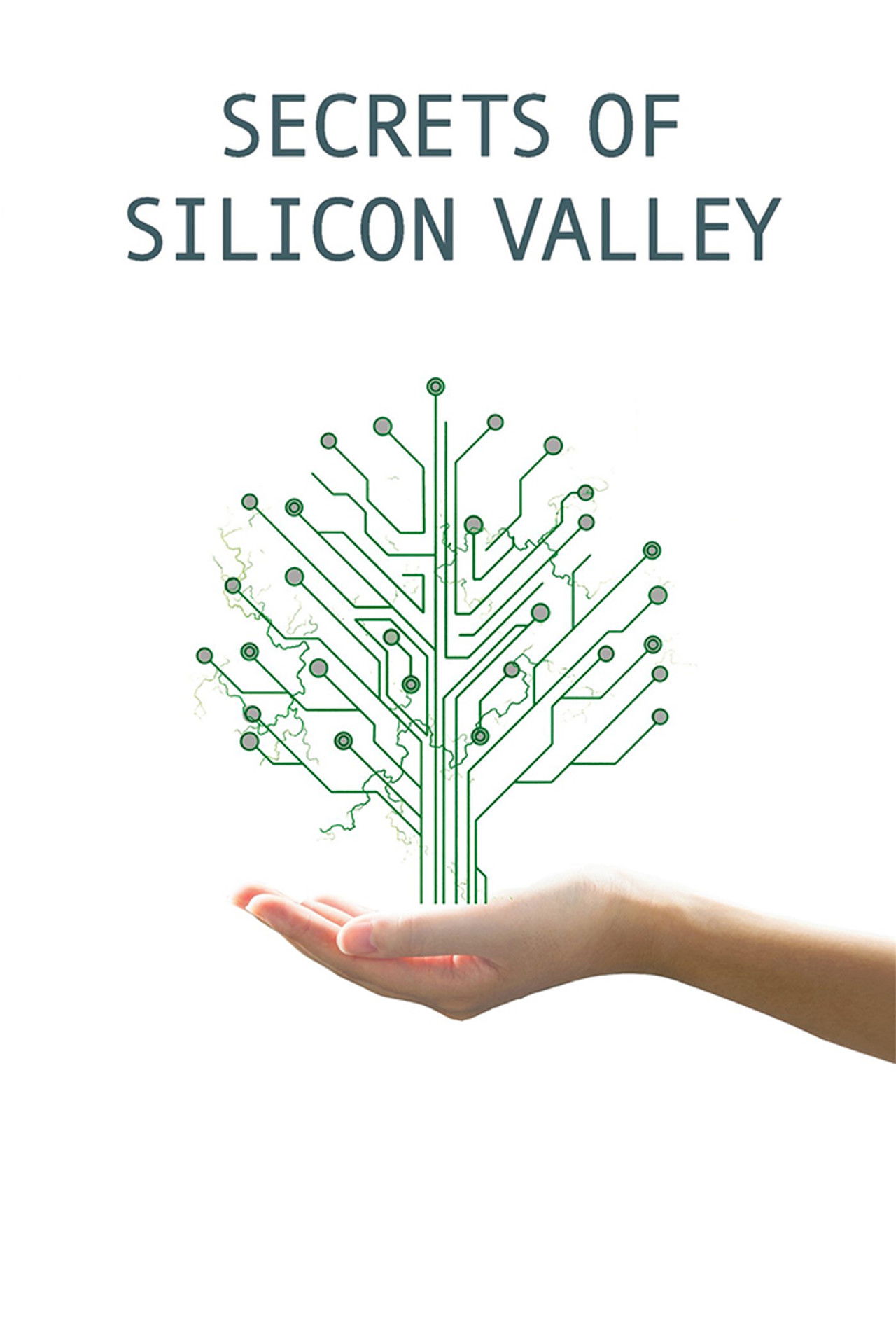 Sekretet e Silicon Valley backdrop