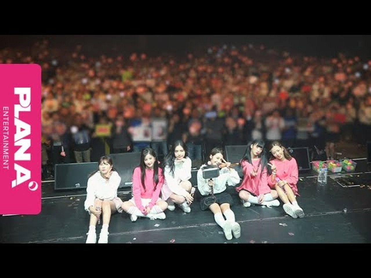 Japan Live Pink Collection