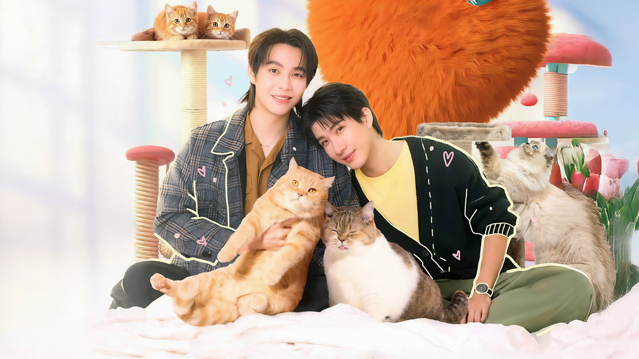 เปย์รักด้วยแมวเลี้ยง