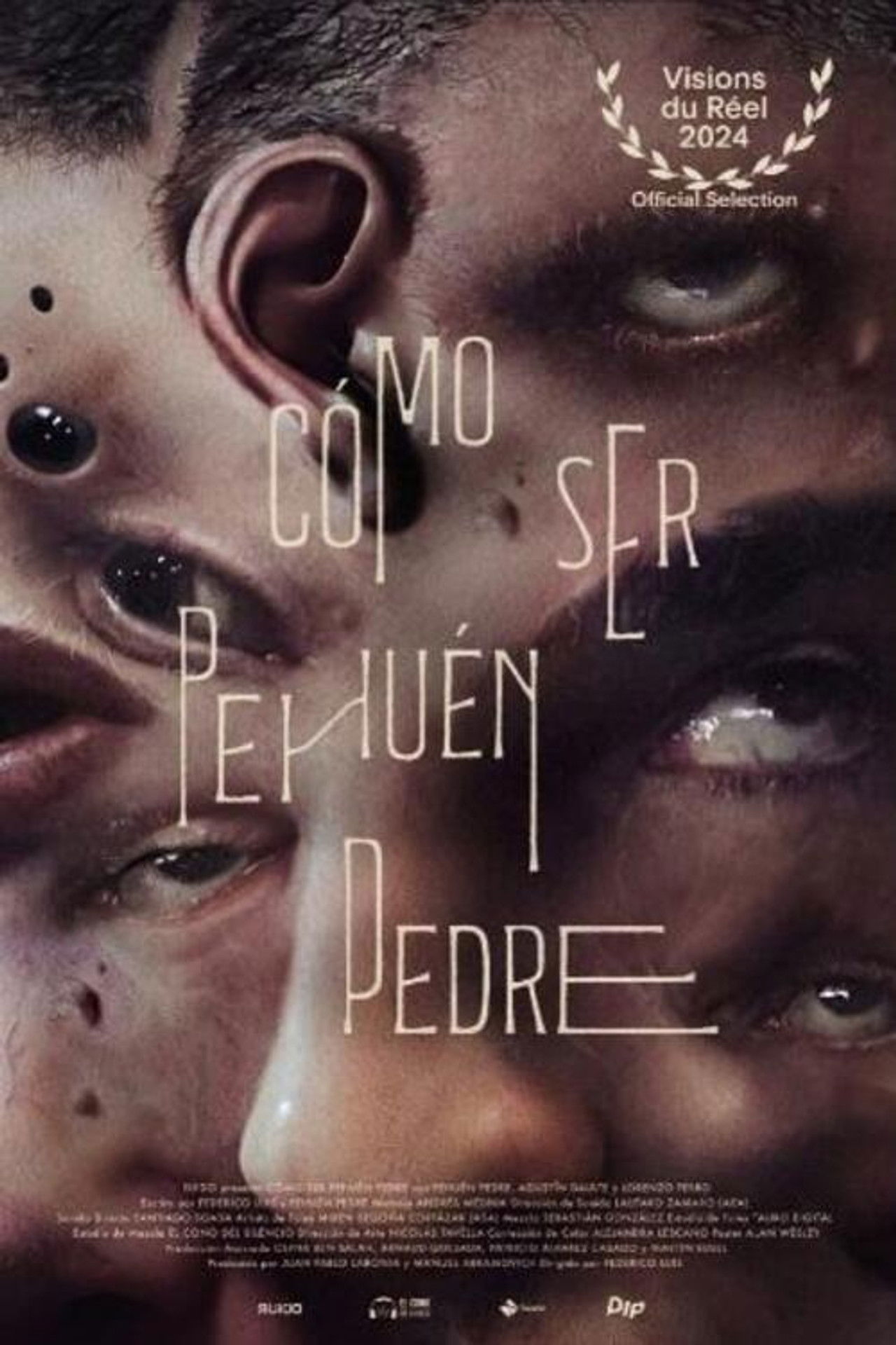 How to Be Pehuén Pedre Backdrop